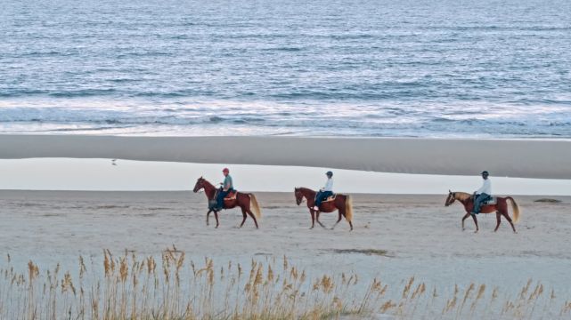 Amelia Island: Discover Florida’s Hidden Gems - by Amelia Island 